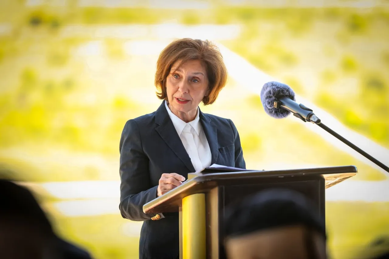 Сиљановска-Давкова: Она што го прави НАТО со стандардите да го прави ЕУ со Копенхашките критериуми