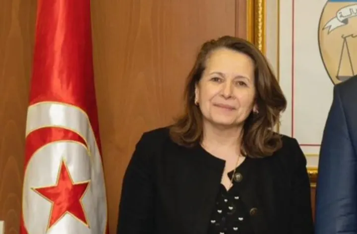 Waziri wa nishati wa Tunisia afutwa kazi huku kukiwa na mjadala kuhusu nishati endelevu