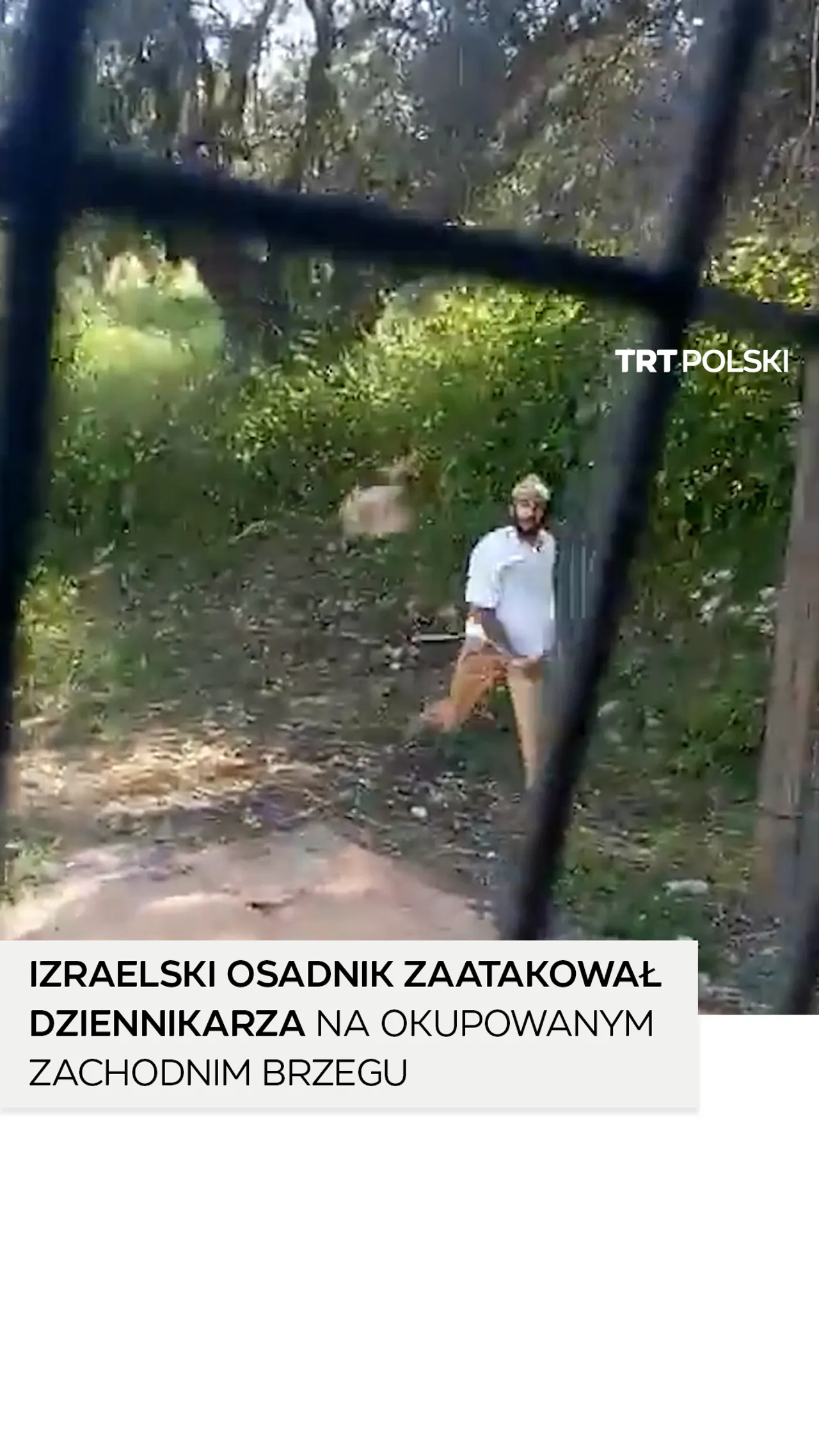 Izraelski osadnik atakuje dziennikarza na okupowanym Zachodnim Brzegu