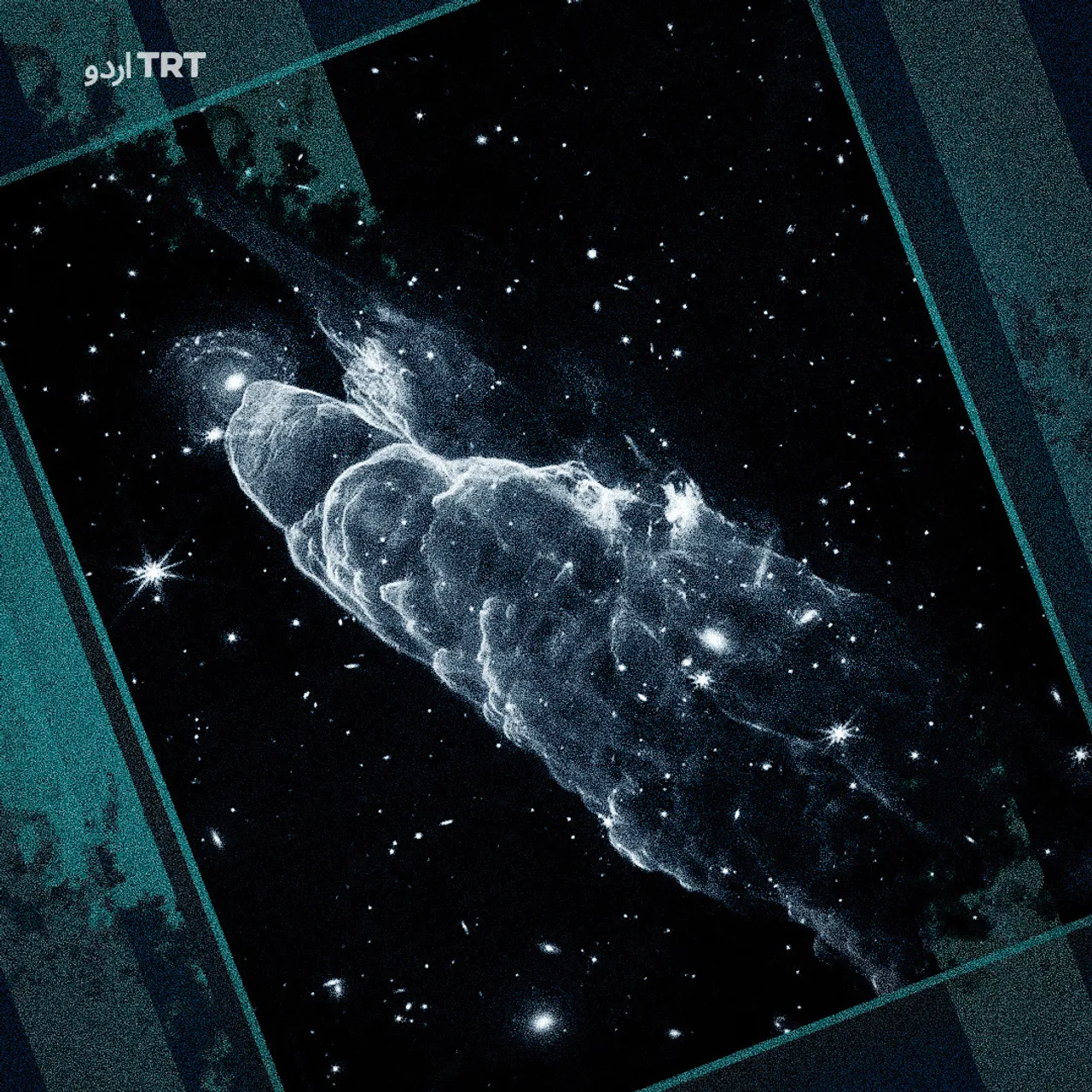 ہزار سال پہلے ناپید ہونے والے خوفناک بھیڑیے... دوبارہ زندگی میں لوٹ آئے!