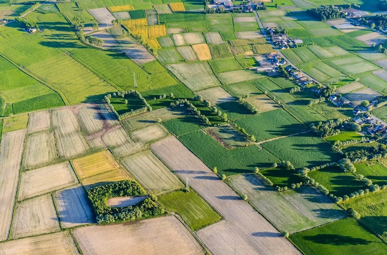 Producent Fevia waarschuwt: “voedselproductie dreigt uit België te verdwijnen”