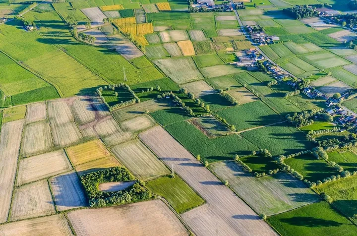 Producent Fevia waarschuwt: “voedselproductie dreigt uit België te verdwijnen”