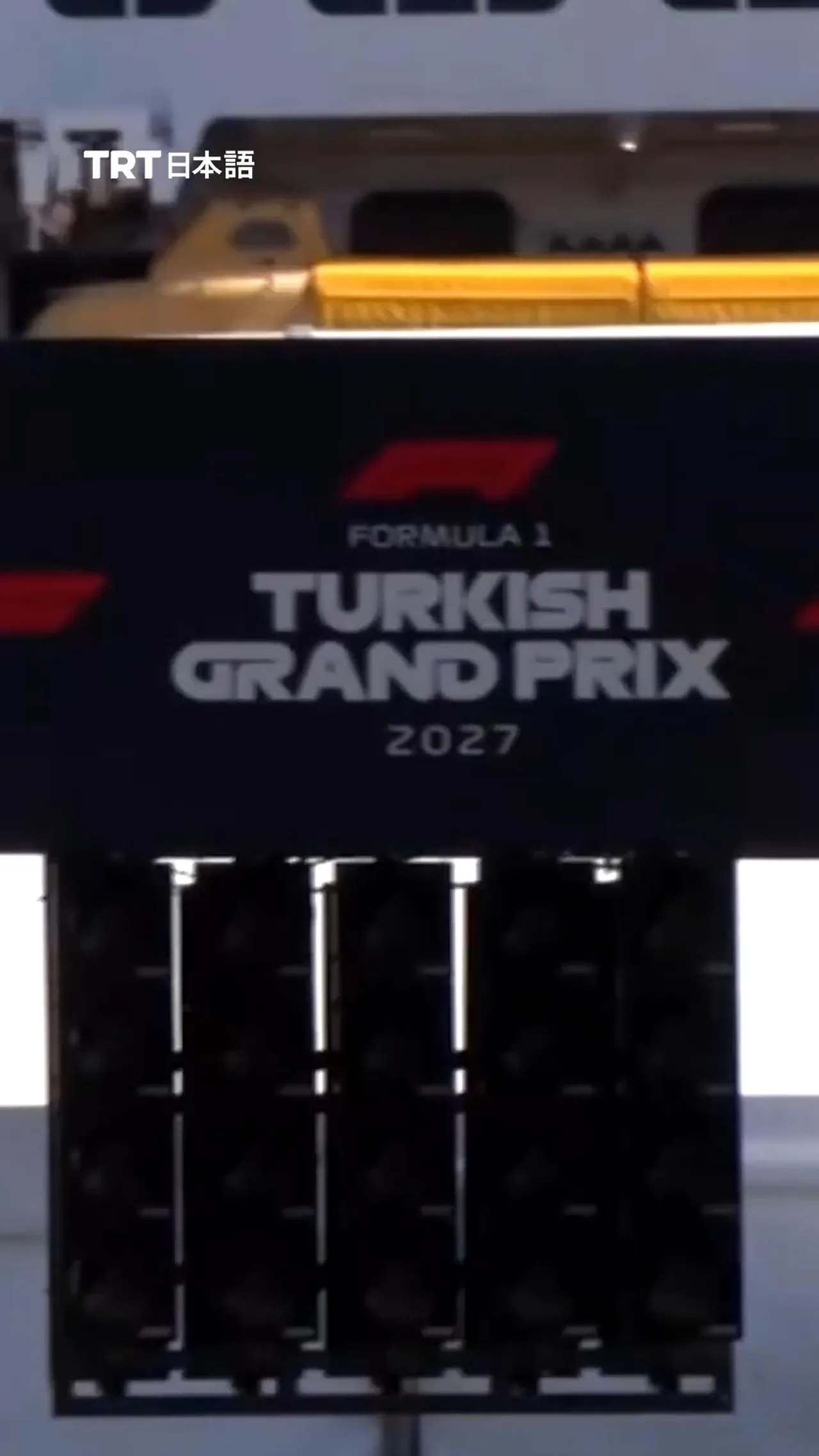 イスタンブールで野良猫がF1のプロモーション撮影に登場