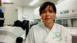 Македонка на Оксфорд работи на откривање на лек за дијабетес