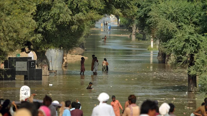 Бројот на жртви од поплавите во Авганистан се искачи над 50