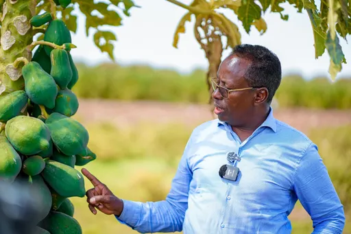 Somalia must produce what it consumes, end aid culture: agriculture minister