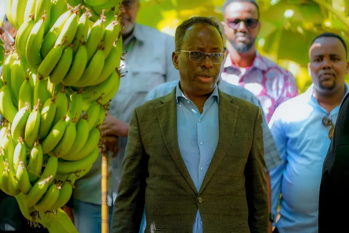 Soomaaliya: Wasiirka Beeraha oo kubaaqay maalgashiga beeraha xilli ay kordhayso Khatarta Cuntada