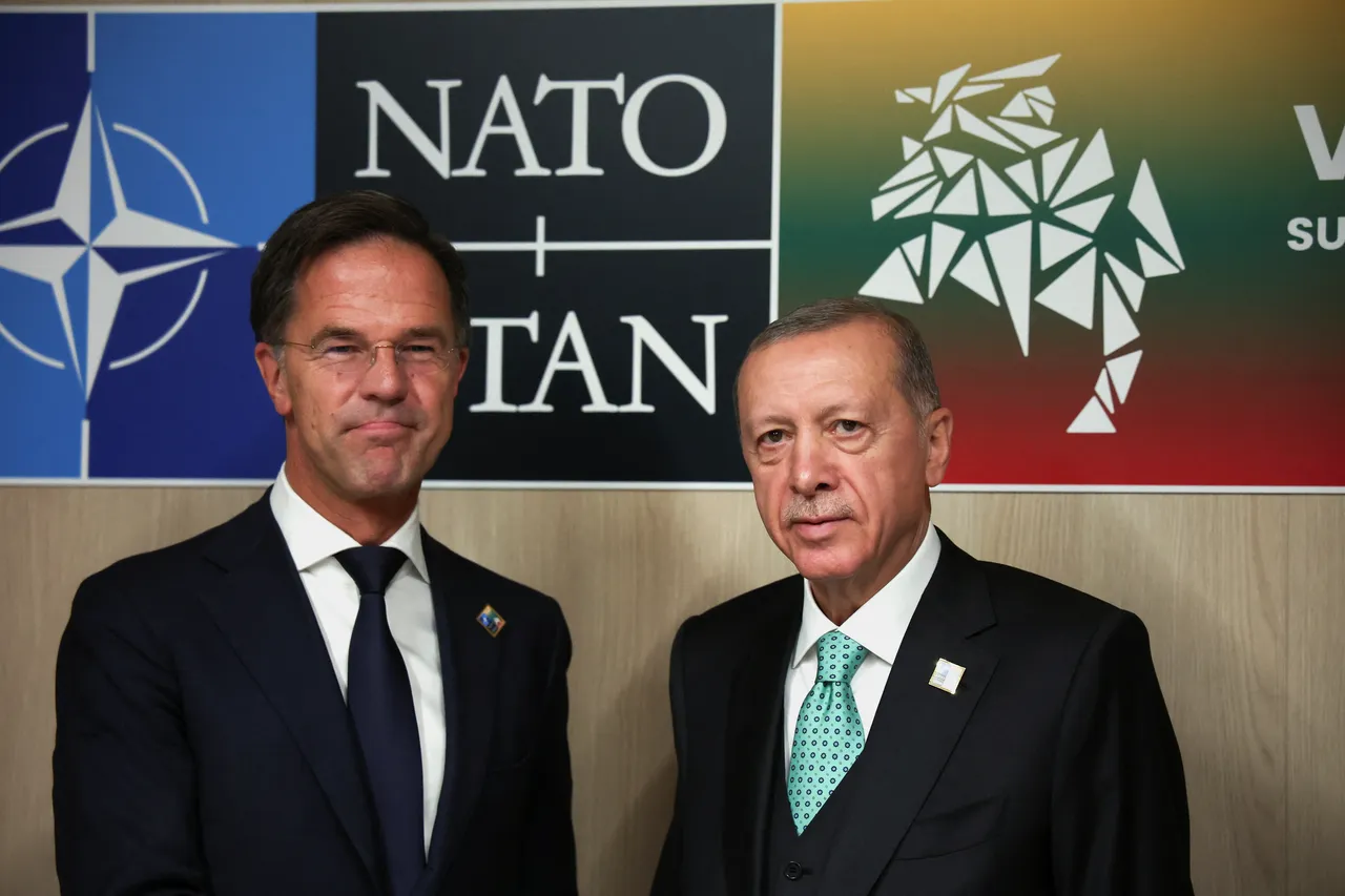 Президент Турции и генсек НАТО обсудили «геостратегический тупик» в Иране