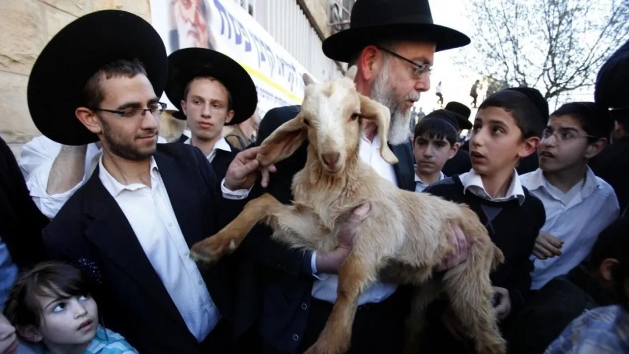 القدس تسجّل 7 محاولات لإدخال قرابين إلى المسجد الأقصى بأعلى حصيلة منذ 1967