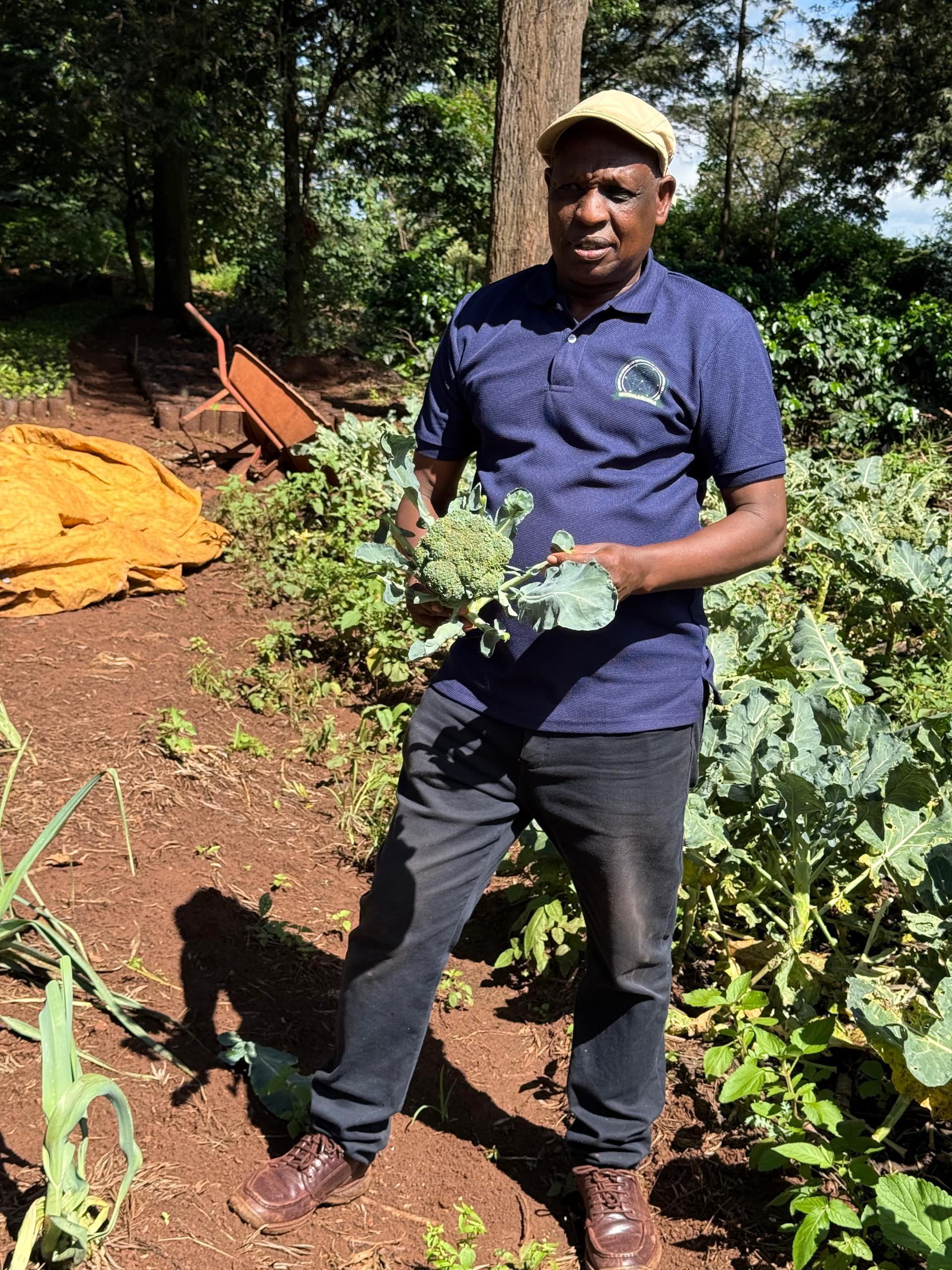 Kilimo ikolojia kinavyozalisha mamilionea Kaskazini mwa Tanzania