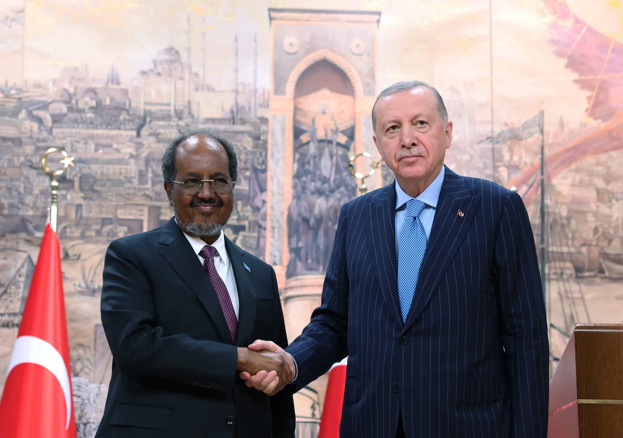 Why Somalia–Türkiye partnership stands strong amid the noise