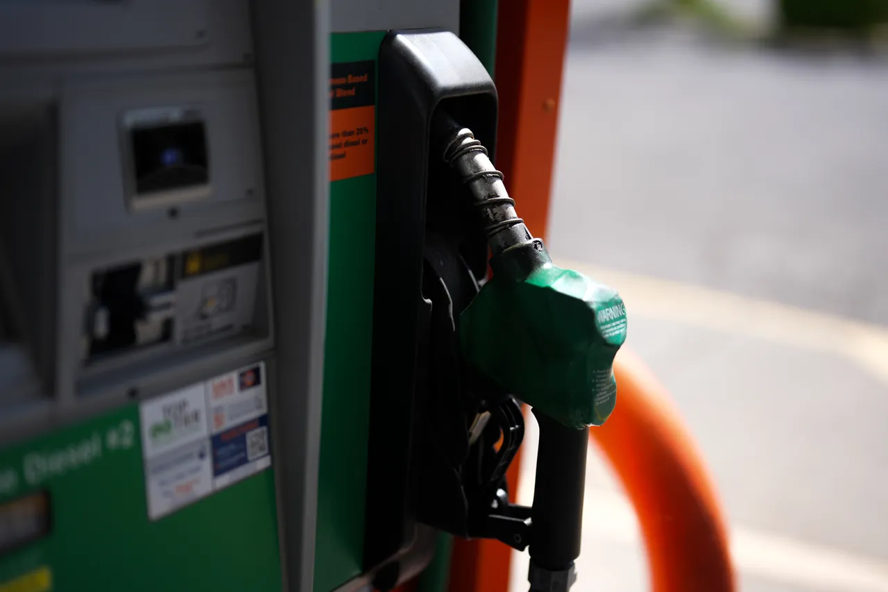 EU warns energy price surge will persist despite Hormuz reopening