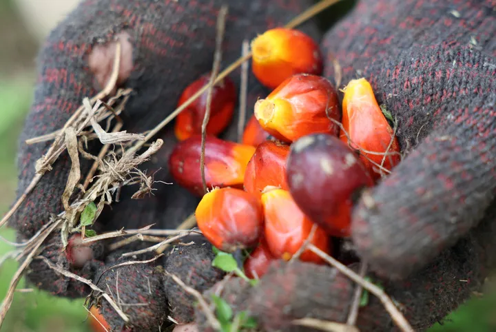 Nigeria-Malaysia trade don reach N1.82tn inside five years