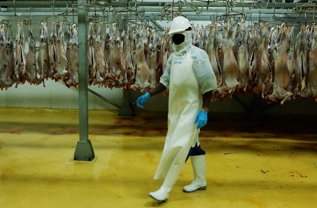 How Middle East crisis is shattering Kenya’s meat exports