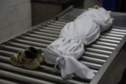 «Жестоко и ужасающe»: израильский огонь убил палестинскую девочку в классе в Газе