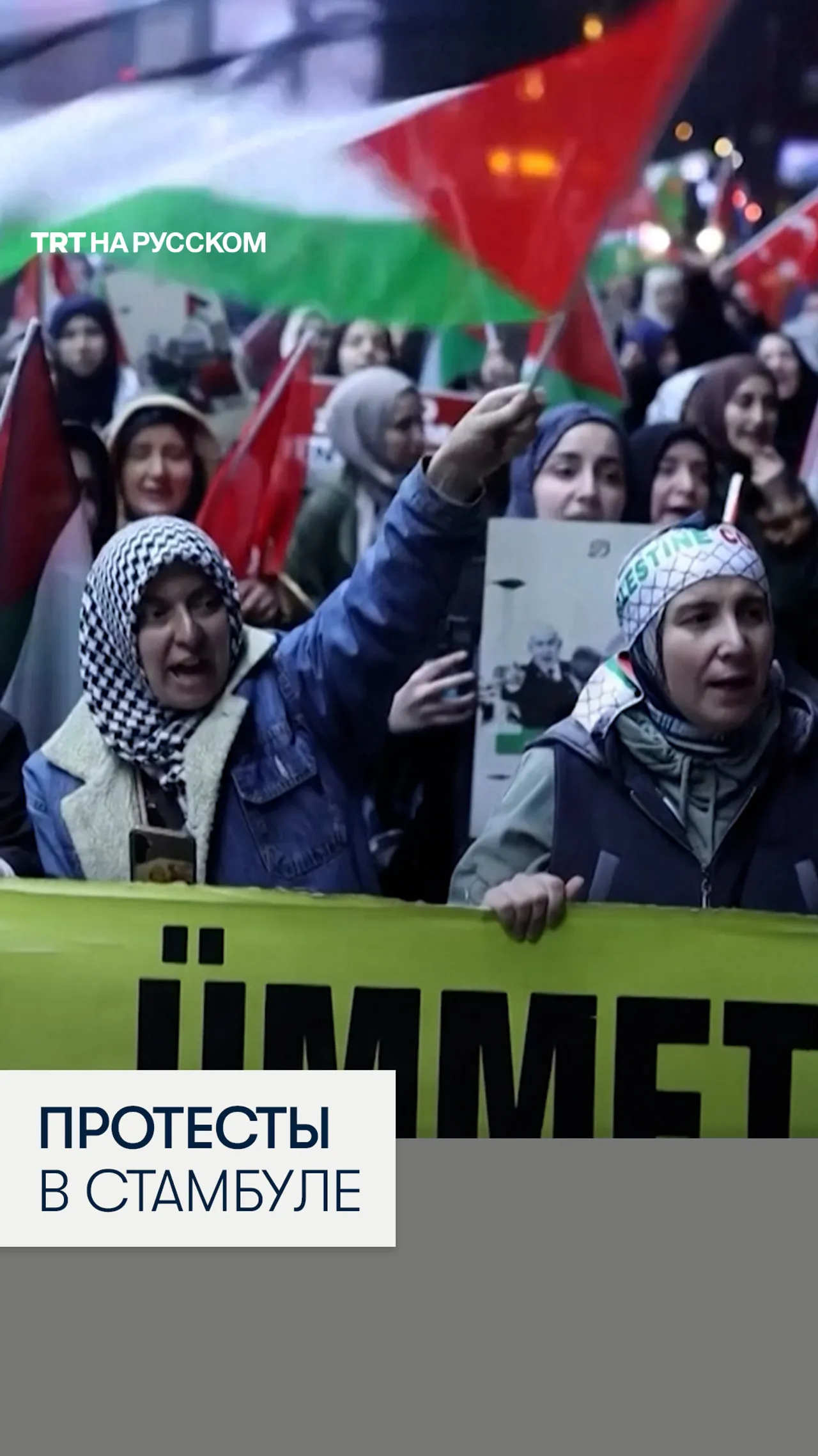 В Стамбуле вспыхнули протесты после перехвата израильскими военными гуманитарной флотилии «Сумуд»