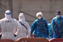Hantavirus: Person wird in Berliner Charité gebracht