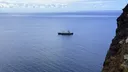 САД репатрираат 17 граѓани од крузер по појавата на хантавирус