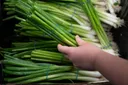 Krisis tenaga global: Harga makanan dijangka meningkat separuh kedua 2026
