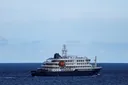Съмнения за норовирус: Над 1700 души са под карантина на круизен кораб