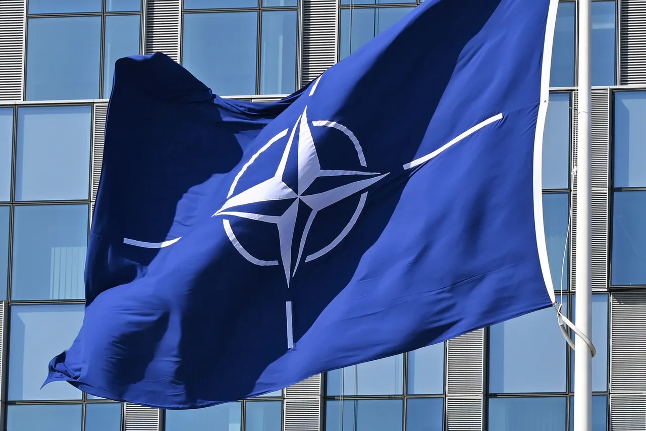 Deutsche Nato-Soldaten in den Niederlanden attackiert