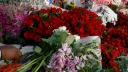 Freight costs threaten Zimbabwe farmers' livelihoods as Iran war disrupts exports