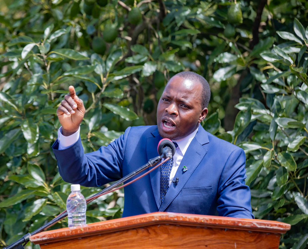 Tanzania: Puuzeni madai ya picha mjongeo kutoka Bunge la EU