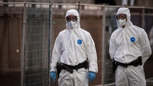 Francuska se sprema za hantavirus: Zalihe maski osigurane za tri mjeseca