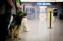 L'aéroport d'Helsinki reprend ses vols après une interruption due à une alerte au drone