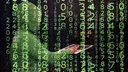Više od 42 posto korisnika interneta u EU-u susrelo se s prijetećim online porukama u 2025. godini