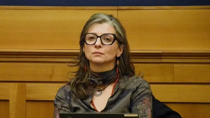 UN Rapporteur accuses Israel of systematic torture against Palestinians