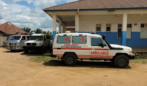 Nijeriya ta tsananta sa ido bayan WHO ta ayyana dokar ta-baci kan Ebola da ta kashe mutum 88 a Congo