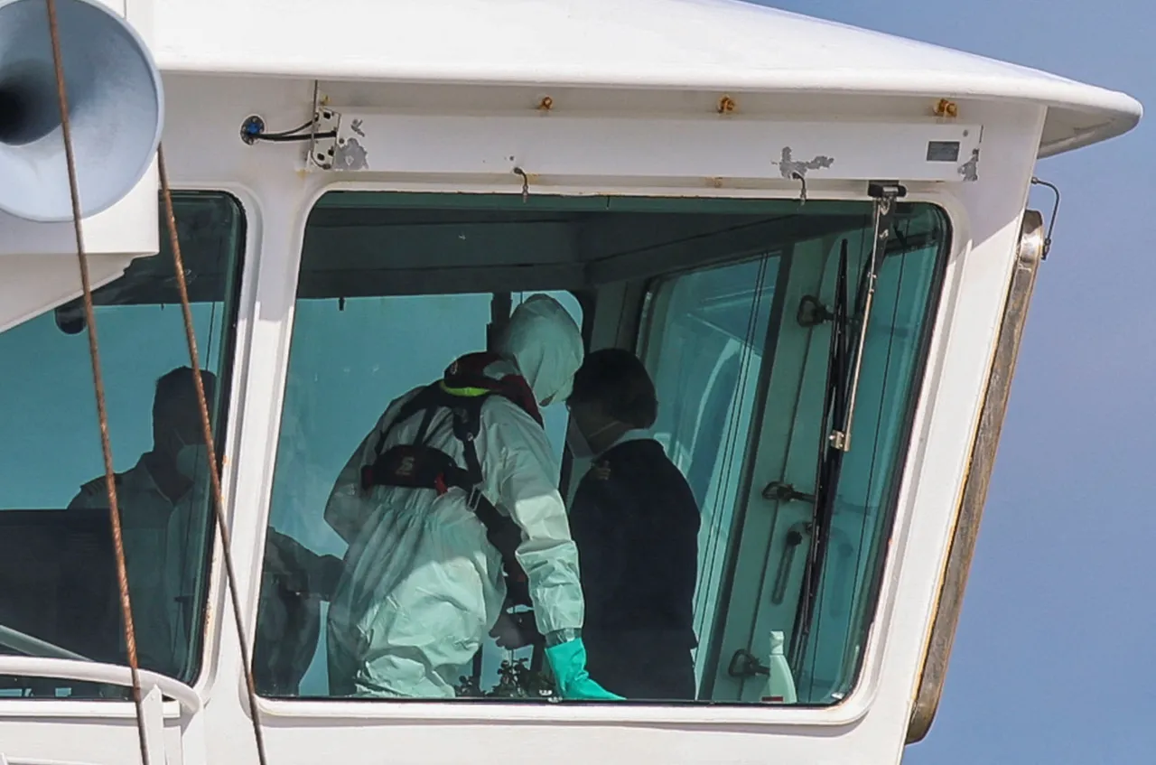 Race to trace the rodent behind deadly cruise ship hantavirus outbreak