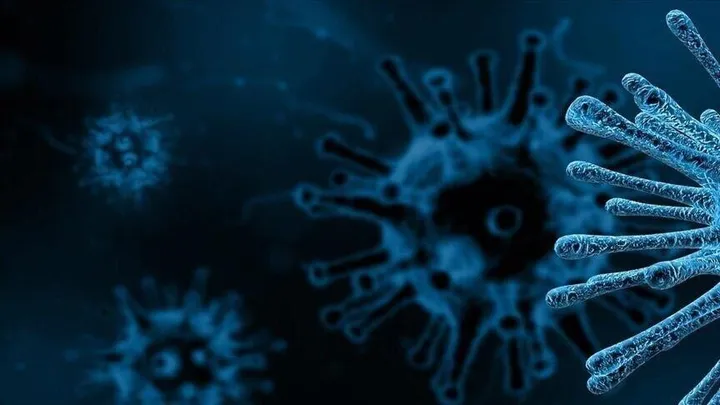 Two die from rare mosquito-borne virus in Australia’s Northern Territory