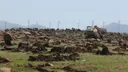 Ushtria izraelite bombardon zonat bujqësore në Sirinë jugperëndimore
