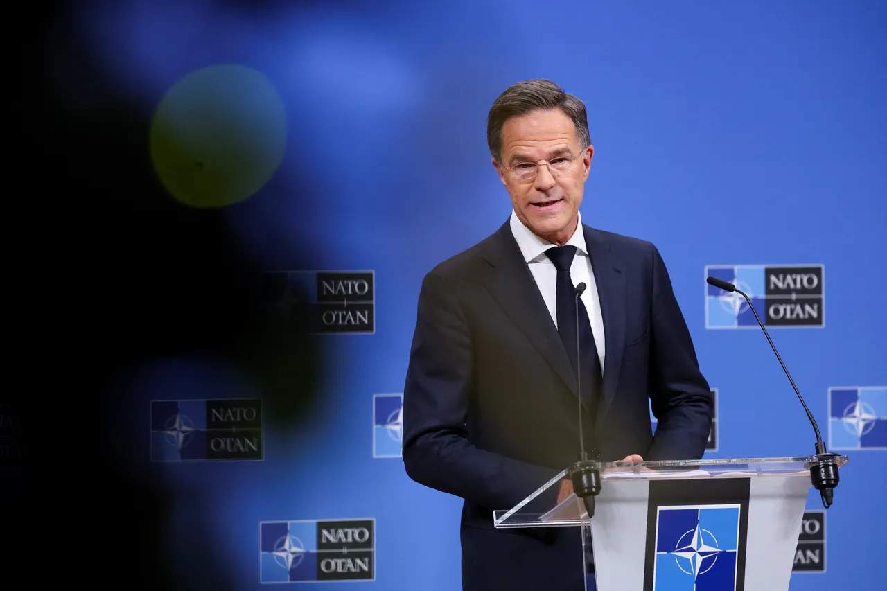 NATO to unveil billions in new defence contracts at Ankara summit