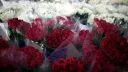 Россия приостановила импорт цветов из Армении