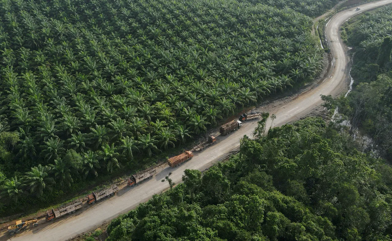 Moody’s dan S&P soroti risiko kebijakan sentralisasi ekspor komoditas Indonesia