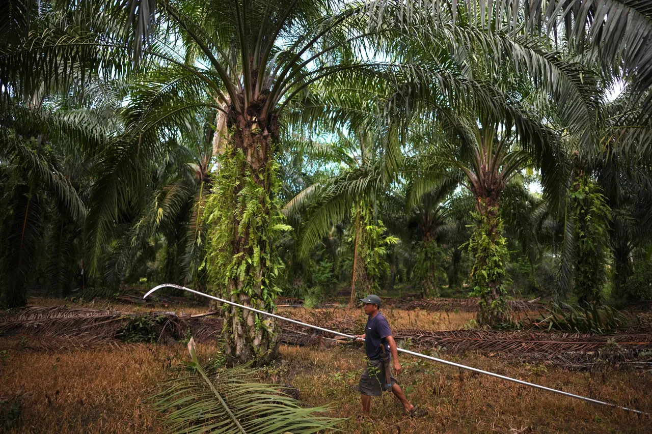 Malaysia hadkan pekerjaan pelarian kepada sektor kurang tenaga kerja