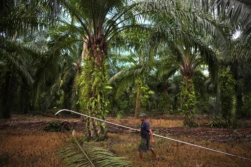 Malaysia hadkan pekerjaan pelarian kepada sektor kurang tenaga kerja