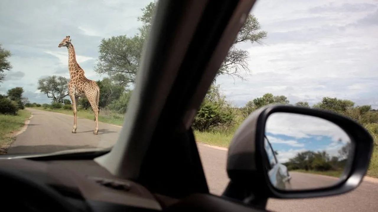 Tourists killed in South African national park, authorities say