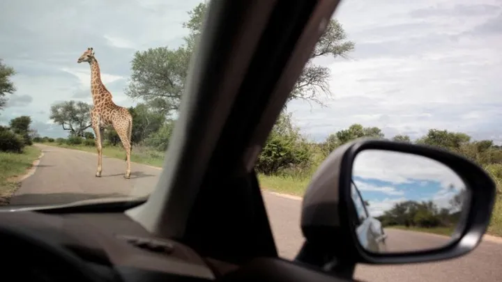Tourists killed in South African national park, authorities say