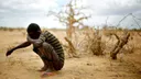 Why is Africa paying the price of the climate crisis? New approach to a just climate architecture