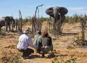 Watu watatu wauawa baada ya gari kugongana na ndovu katika mbuga nchini Uganda
