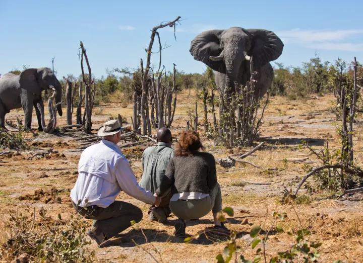 Watu watatu wauawa baada ya gari kugongana na ndovu katika mbuga nchini Uganda