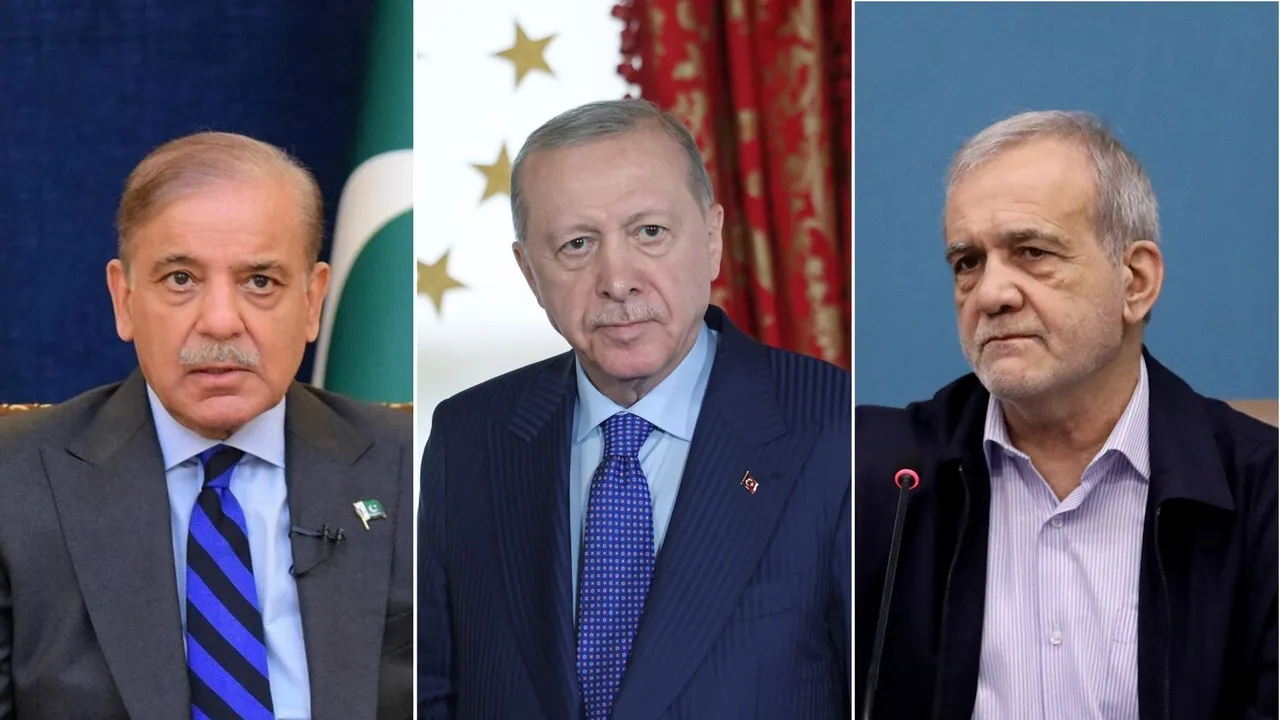 أردوغان يبحث مع بزشكيان وشريف تطورات المنطقة ويؤكد دعم تركيا إرساء السلام