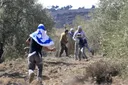 מתנחלים ישראליים בלתי חוקיים תקפו את כפר ג'אלוד
