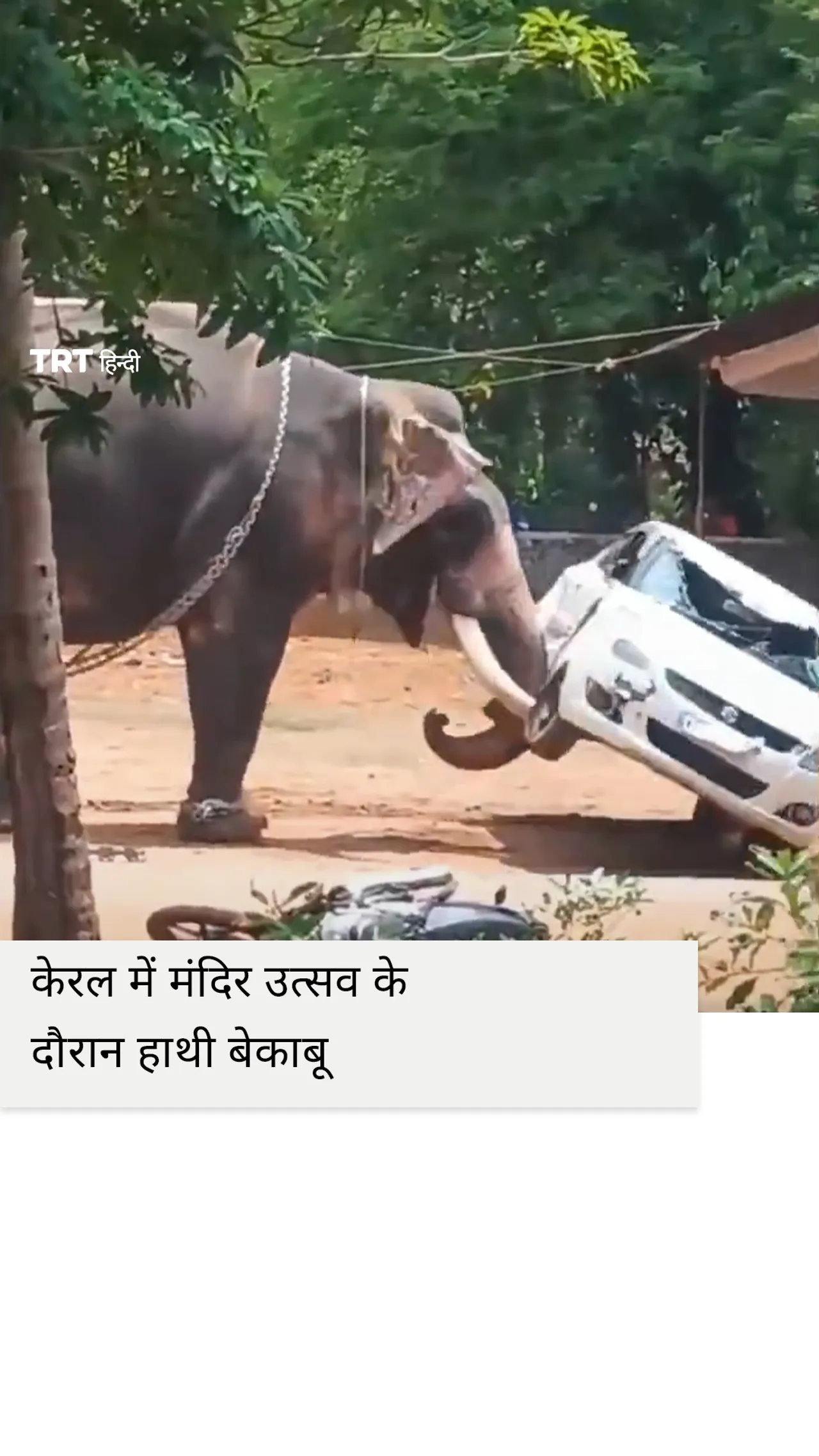 केरल में मंदिर उत्सव के दौरान हाथी बेकाबू, एक की मौत