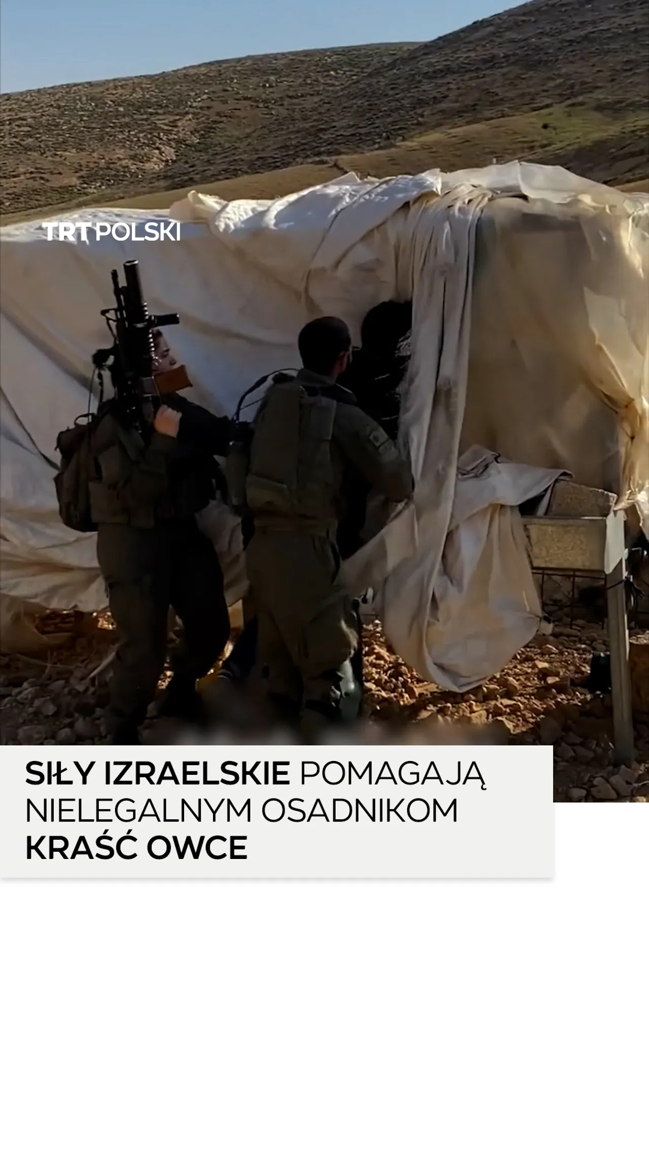 Siły izraelskie atakują Palestyńczyków, podczas gdy nielegalni osadnicy próbują ukraść owce
