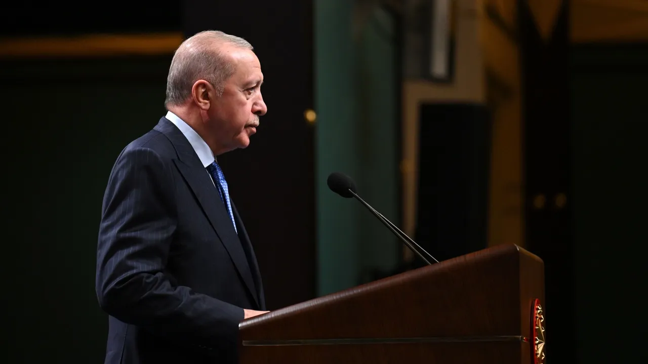Erdogan urges EU to avoid rhetoric undermining Türkiye's 'constructive stance'